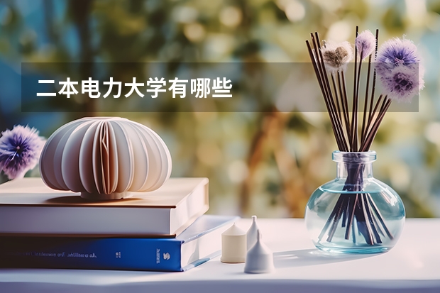 二本电力大学有哪些