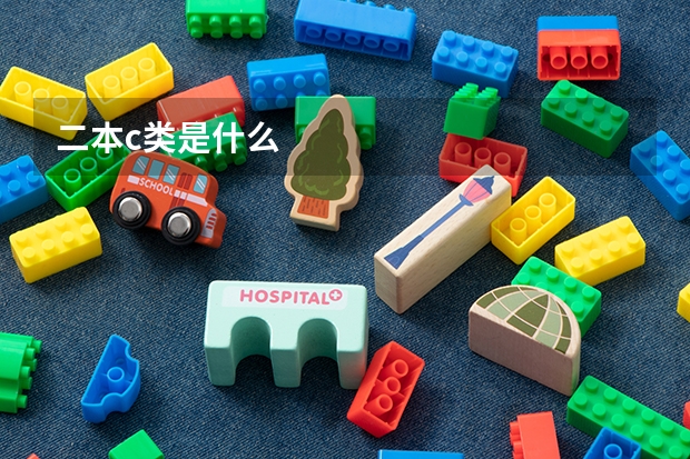二本c类是什么