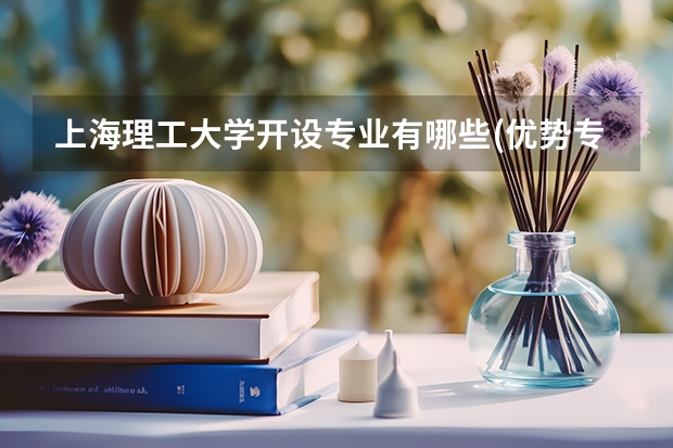 上海理工大学开设专业有哪些(优势专业)