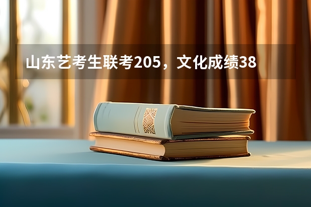 山东艺考生联考205，文化成绩384，能报哪些二本大学？