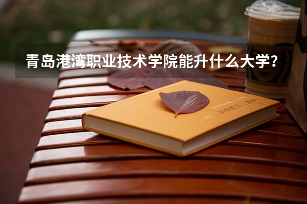 青岛港湾职业技术学院能升什么大学？