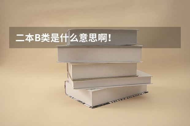 二本B类是什么意思啊！