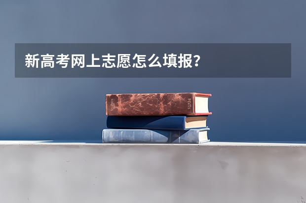 新高考网上志愿怎么填报？