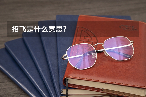 招飞是什么意思?