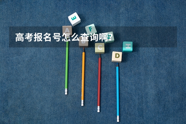 高考报名号怎么查询啊？