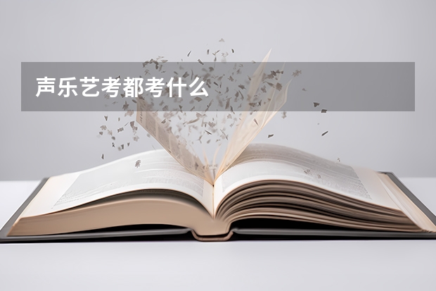 声乐艺考都考什么