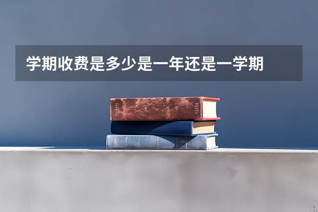 学期收费是多少是一年还是一学期