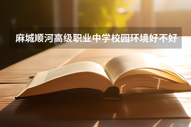 麻城顺河高级职业中学校园环境好不好 麻城顺河高级职业中学学费怎么收