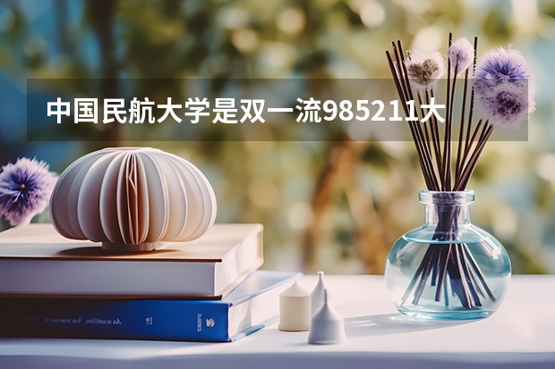中国民航大学是双一流/985/211大学吗?历年分数线汇总