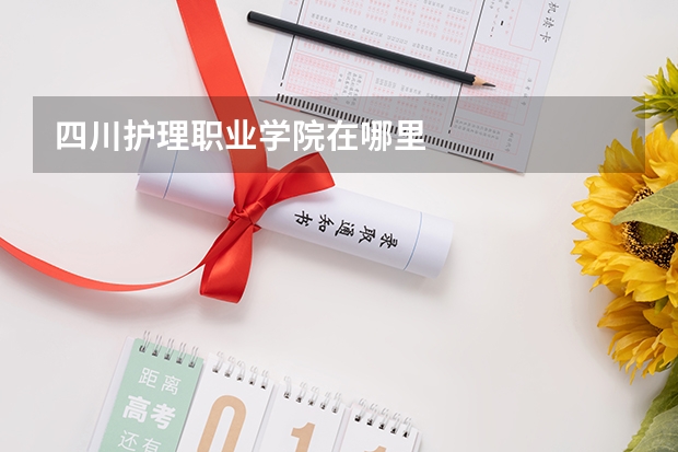 四川护理职业学院在哪里