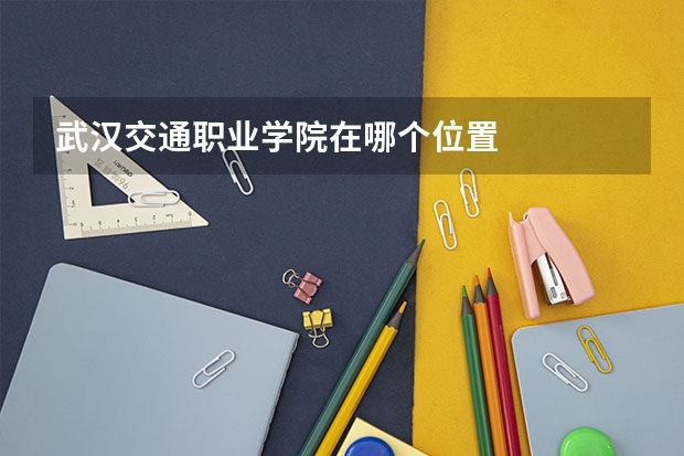 武汉交通职业学院在哪个位置
