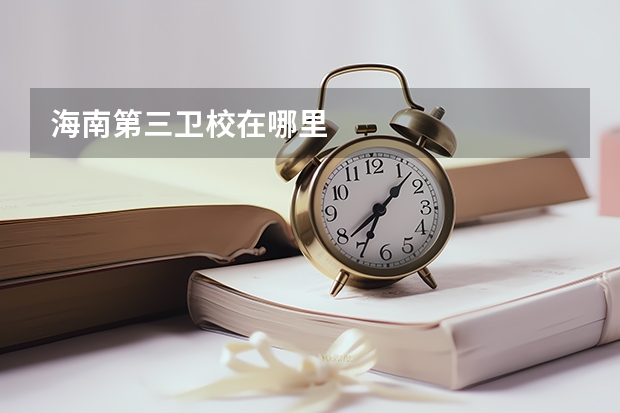 海南第三卫校在哪里