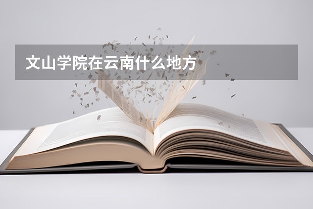 文山学院在云南什么地方