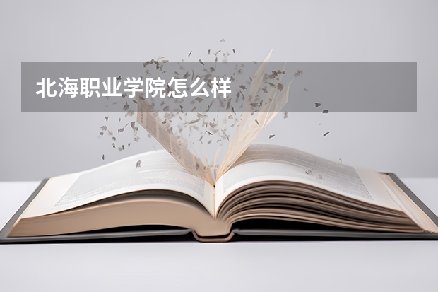 北海职业学院怎么样