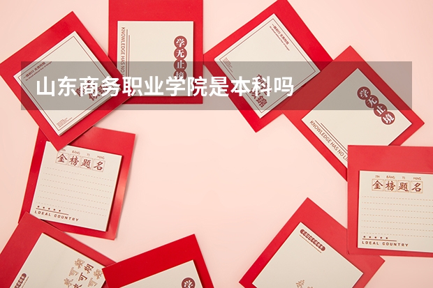 山东商务职业学院是本科吗