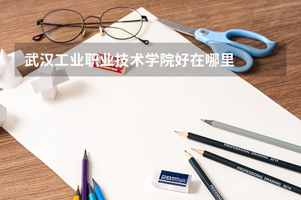 武汉工业职业技术学院好在哪里