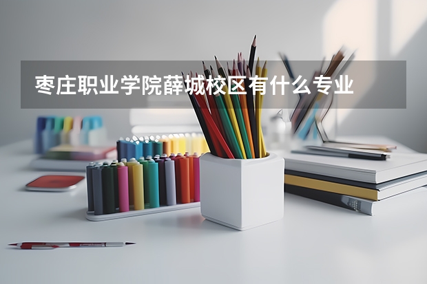 枣庄职业学院薛城校区有什么专业