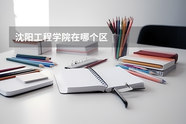 沈阳工程学院在哪个区