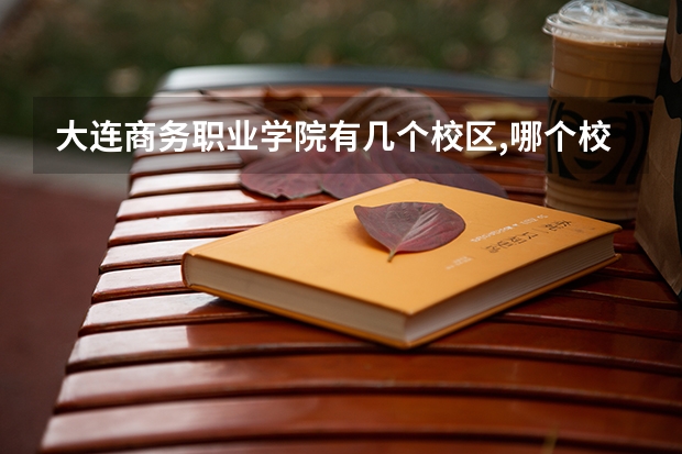 大连商务职业学院有几个校区,哪个校区最好及各校区介绍