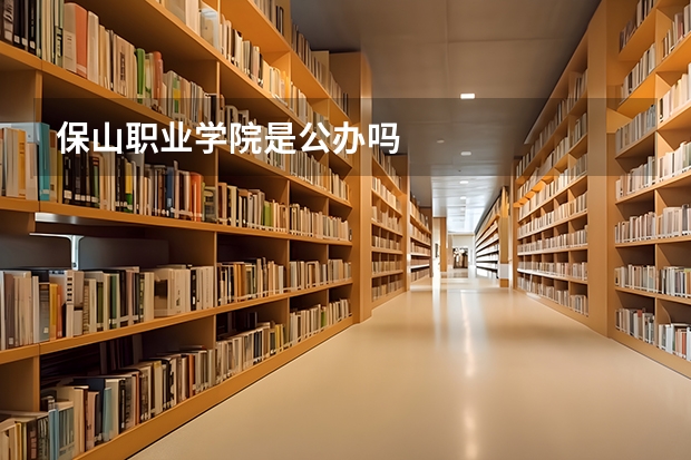 保山职业学院是公办吗