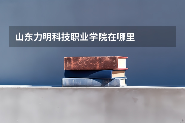 山东力明科技职业学院在哪里