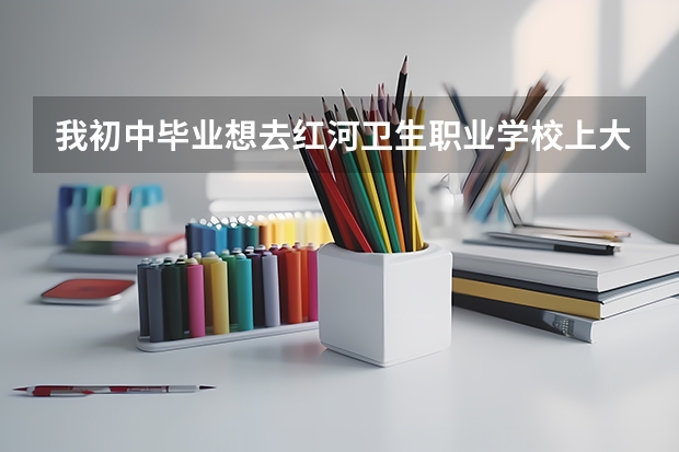 我初中毕业想去红河卫生职业学校上大专，请问可以直接去哪里报名嘛