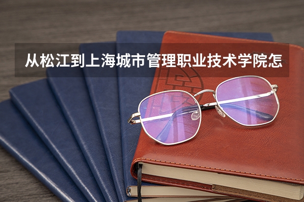 从松江到上海城市管理职业技术学院怎么走？
