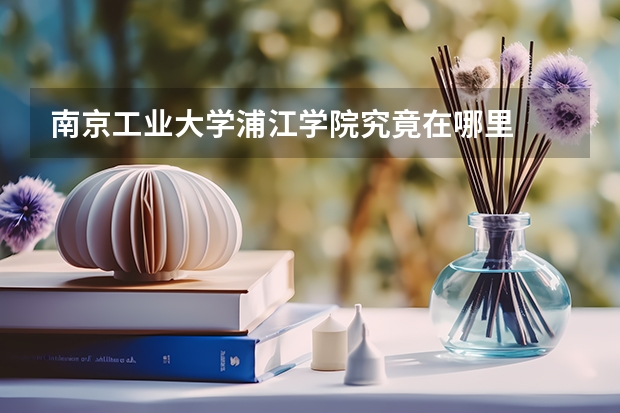 南京工业大学浦江学院究竟在哪里