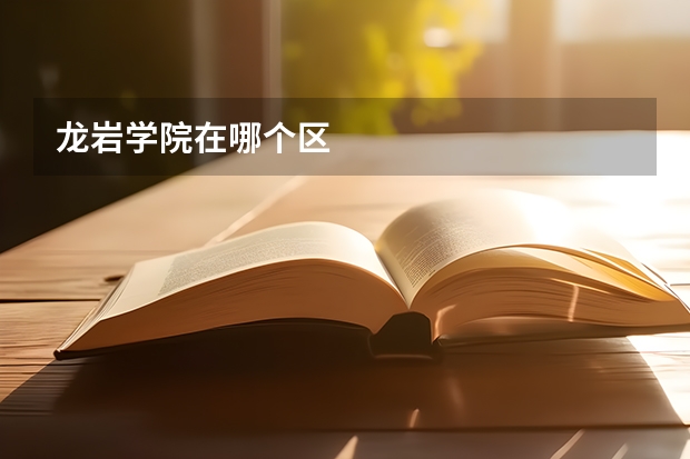 龙岩学院在哪个区