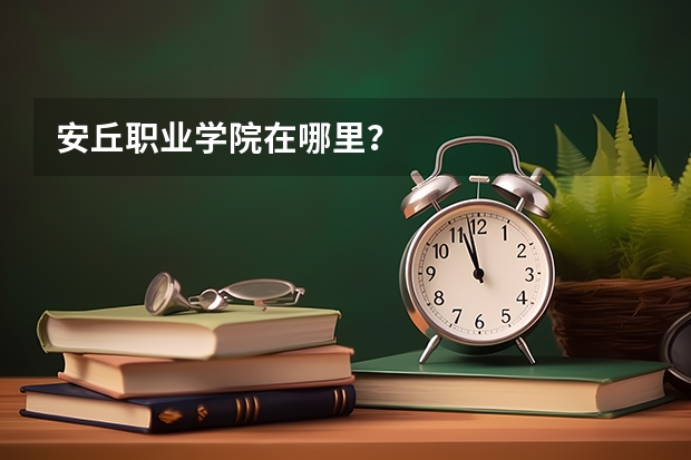 安丘职业学院在哪里？