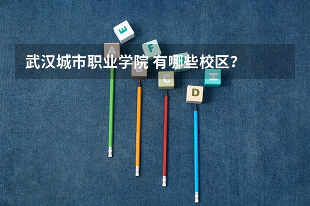武汉城市职业学院 有哪些校区？