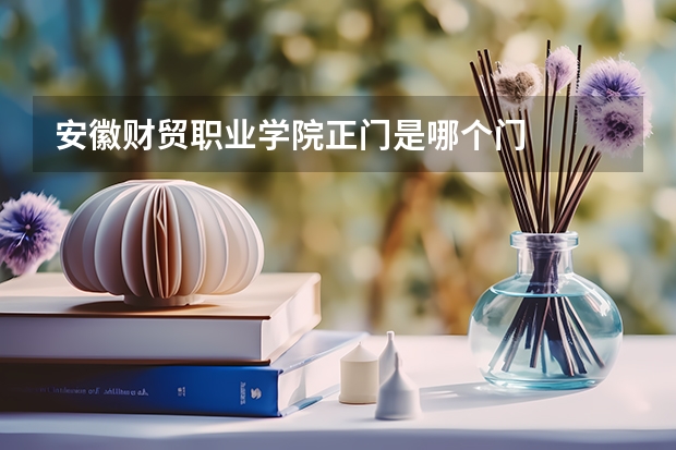 安徽财贸职业学院正门是哪个门