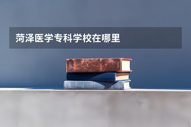 菏泽医学专科学校在哪里