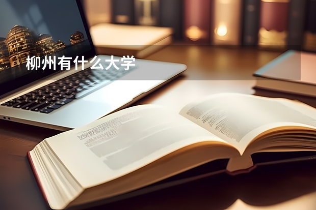柳州有什么大学