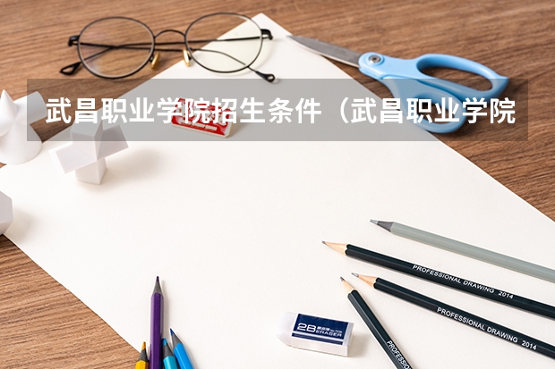 武昌职业学院招生条件（武昌职业学院的介绍）