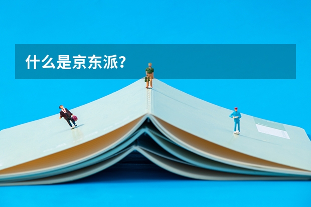 什么是京东派？