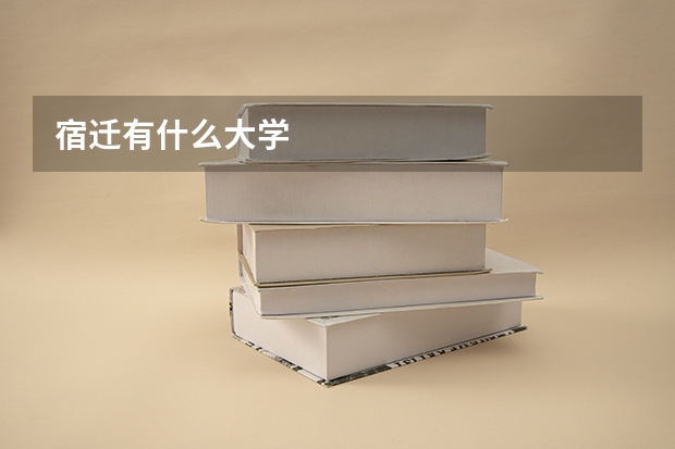 宿迁有什么大学