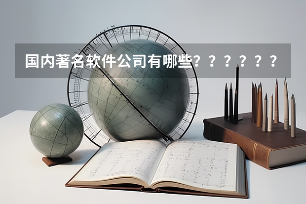 国内著名软件公司有哪些????????