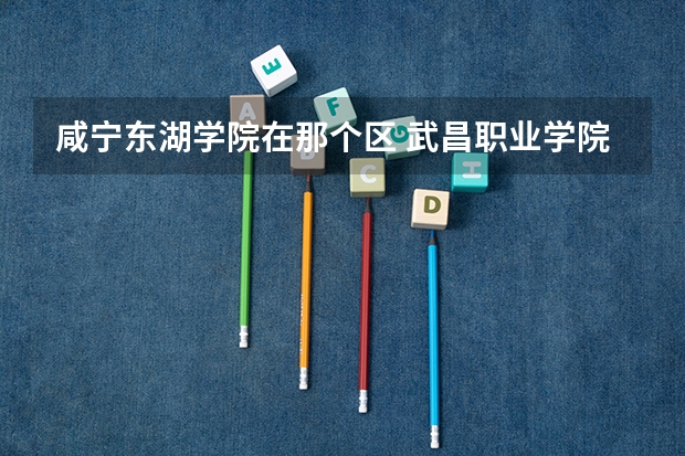 咸宁东湖学院在那个区 武昌职业学院距离武昌理工大多远？ 武汉东湖学院有几个校区及各个校区的介绍