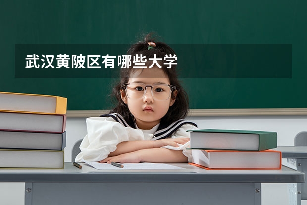 武汉黄陂区有哪些大学