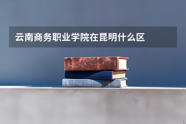 云南商务职业学院在昆明什么区
