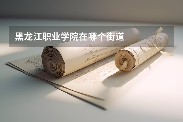 黑龙江职业学院在哪个街道