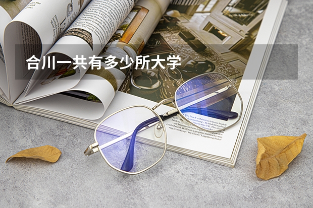 合川一共有多少所大学