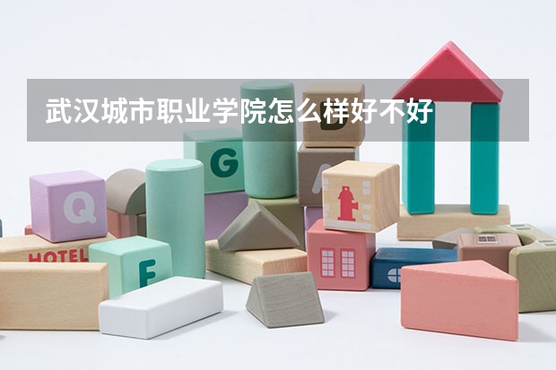 武汉城市职业学院怎么样好不好