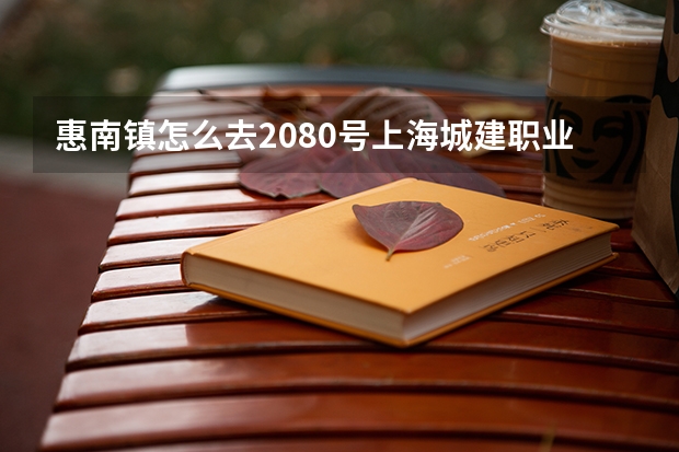 惠南镇怎么去2080号上海城建职业技术学院