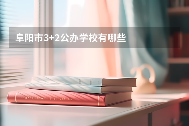 阜阳市3+2公办学校有哪些