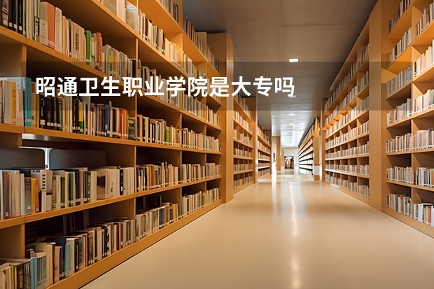 昭通卫生职业学院是大专吗