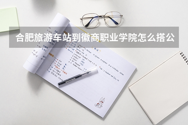 合肥旅游车站到徽商职业学院怎么搭公交