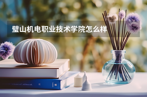 璧山机电职业技术学院怎么样