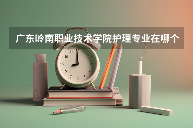 广东岭南职业技术学院护理专业在哪个校区